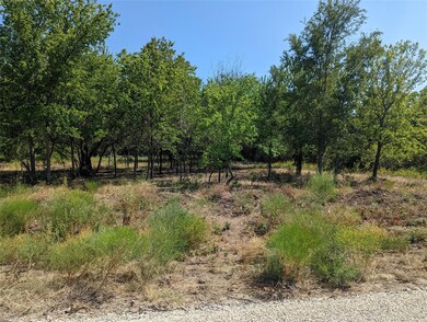 1053 Preserve St, Weatherford, TX 76085 - photo 7