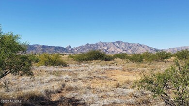 View West to Dragoons