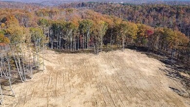 0 Fire Tower Rd, Centerville, TN 37033 - photo 4