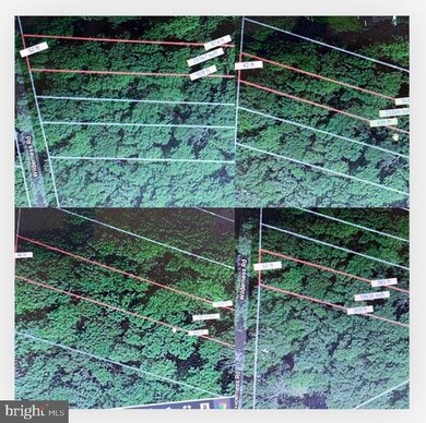 0 Wilderness Rd unit VAWR137604, Linden, VA 22642 - photo 3