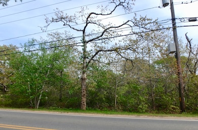 134 Old County Rd, West Tisbury, MA 02575 - photo 3