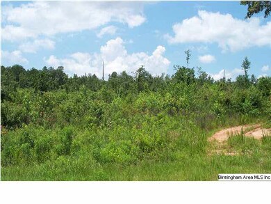 0 County Road 66 unit 2, Wedowee, AL 36278 - photo 2