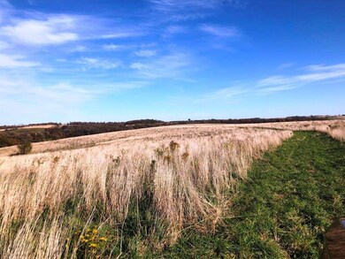 98.33 +/- acres Pikes Peak Rd, Potosi, WI 53820 - photo 7