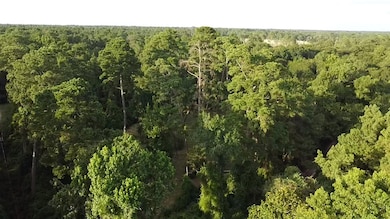 As green as it gets!