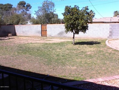Backyard