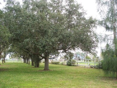 695 W Sioux Rd, Donna, TX 78537 - photo 2