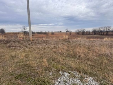 0 Highway 116 & Shinn Ln, Lathrop, MO 64465 - photo 3