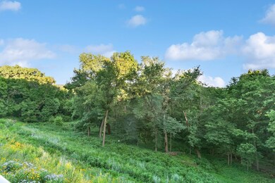 Another view of the nature from your window and deck.