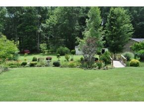 Nice Back Yard