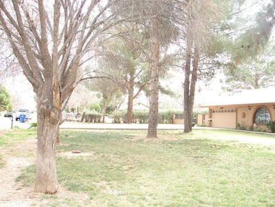 DSC00160