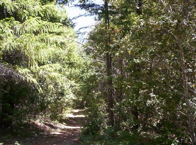 French Peak 040