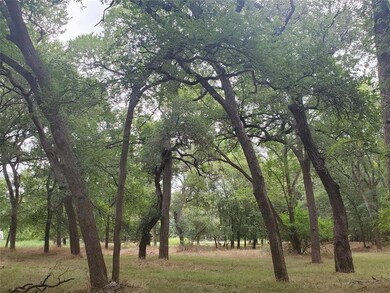 000 Horseshoe Bend Ct, Weatherford, TX 76087 - photo 6