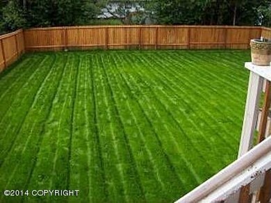 Back Yard 2