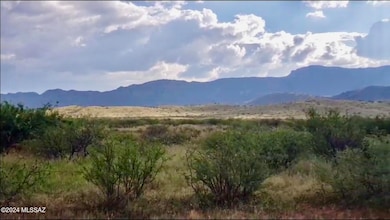 5A Parcel Id 113-05-029 unit 123, Pearce, AZ 85625 - photo 3