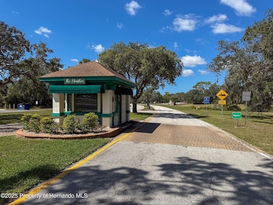 7540 St Andrews Blvd, Weeki Wachee, FL 34613 - photo 3