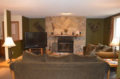 5 Northbrook Village Rd unit E-16, Dover, VT 05356 - photo 4