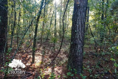 1122 Turf Rd, Statesboro, GA 30458 - photo 6