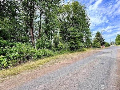 0 XX NE 2nd St, Winlock, WA 98596 - photo 4