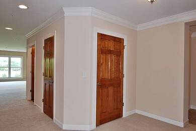 206 N Water St unit 301, Batavia, IL 60510 - photo 2