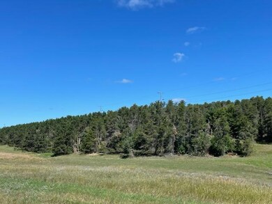 37 +/- Acres 2 Mile Rd Rd, Reed City, MI 49677 - photo 2