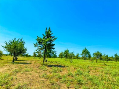 TBD Fm 2555, Corsicana, TX 75110 - photo 2