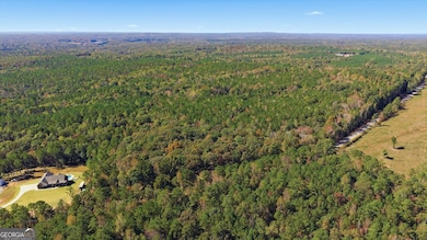 2116 Jones Mill Rd, Whitesburg, GA 30185 - photo 5