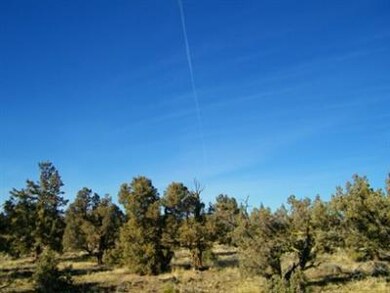 unlisted-address, Powell Butte, OR 97753 - photo 7