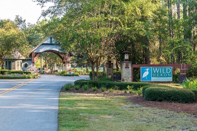 190910-wildheron-002-2000