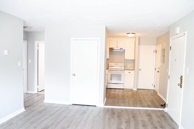 624 Hyde Park Ave unit B1, Boston, MA 02131 - photo 3