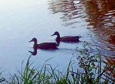 60A-05 Nature's Way, Bridgton, ME 04009 - photo 7