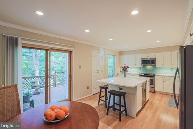 5367 Chase Lions Way, Columbia, MD 21044 - photo 4