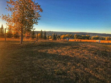 Side Yard