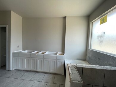 1557 Sidewinder Trail, Weatherford, TX 76087 - photo 7