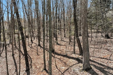 125 Summer Rd, Clarkesville, GA 30523 - photo 4