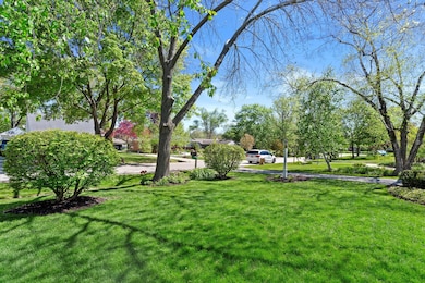 Large Front Yard