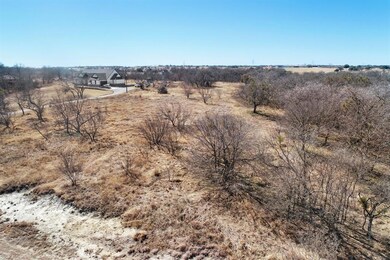 TBD Goldfinch Ln, Weatherford, TX 76088 - photo 4