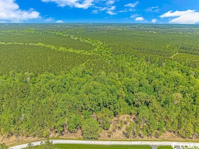 TBD Tranquil Rd unit Lot 1, Conway, SC 29527 - photo 6