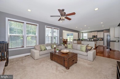 1154 Dargon Quarry Ln, Brunswick, MD 21716 - photo 5