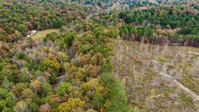 LOT 48 Lower Creek Trail, Ellijay, GA 30540 - photo 6