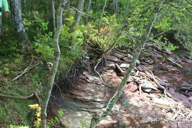 TBD 57 Lakeshore Dr unit 57, Ontonagon, MI 49953 - photo 2