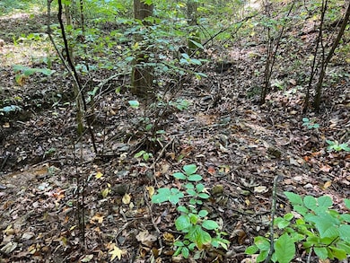 893 Newman Ct, Ranger, GA 30734 - photo 3