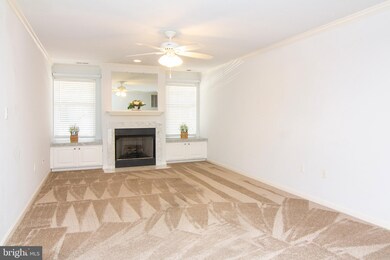4700 Coyle Rd unit 101, Owings Mills, MD 21117 - photo 6