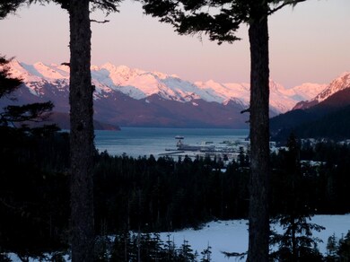 Ferry+coming+into+port+from+livingroom