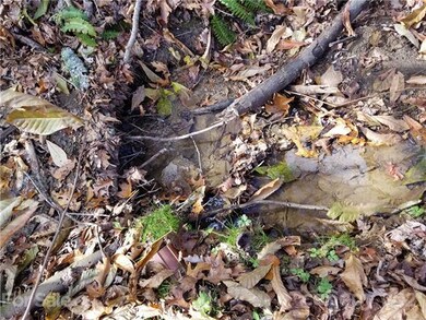 141 Roaring Fork Rd, Burnsville, NC 28714 - photo 4