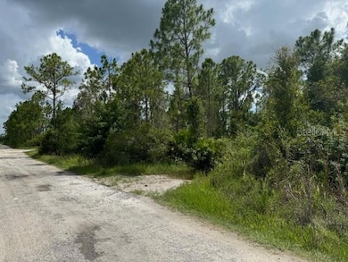 29460 Clara Dr, Punta Gorda, FL 33982 - photo 5