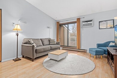 300 Shelard Pkwy unit 303, Saint Louis Park, MN 55426 - photo 2