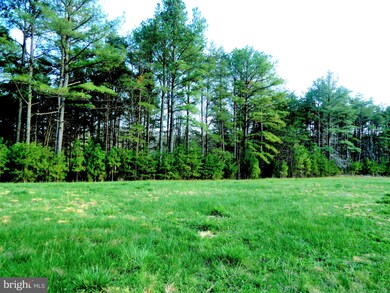 0 Baynesville Rd unit VAWE116616, Montross, VA 22520 - photo 4