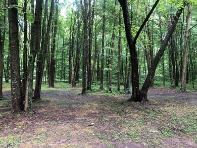 19891 Victory Ln, Fayetteville, OH 45118 - photo 2