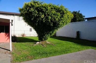 Large private backyard.   Not fenced in this pictu
