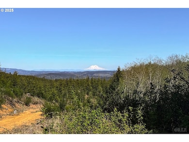 0 Conyers Creek unit 208773965, Clatskanie, OR 97016 - photo 2